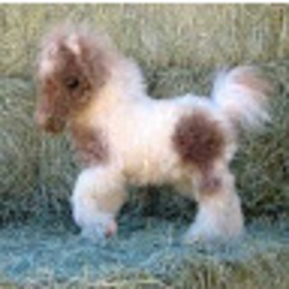 Meet your Posher, Sara - Picture 1 of 1